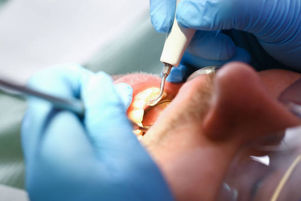 Best Emergency Pediatric Dental Care in Forestville, MD